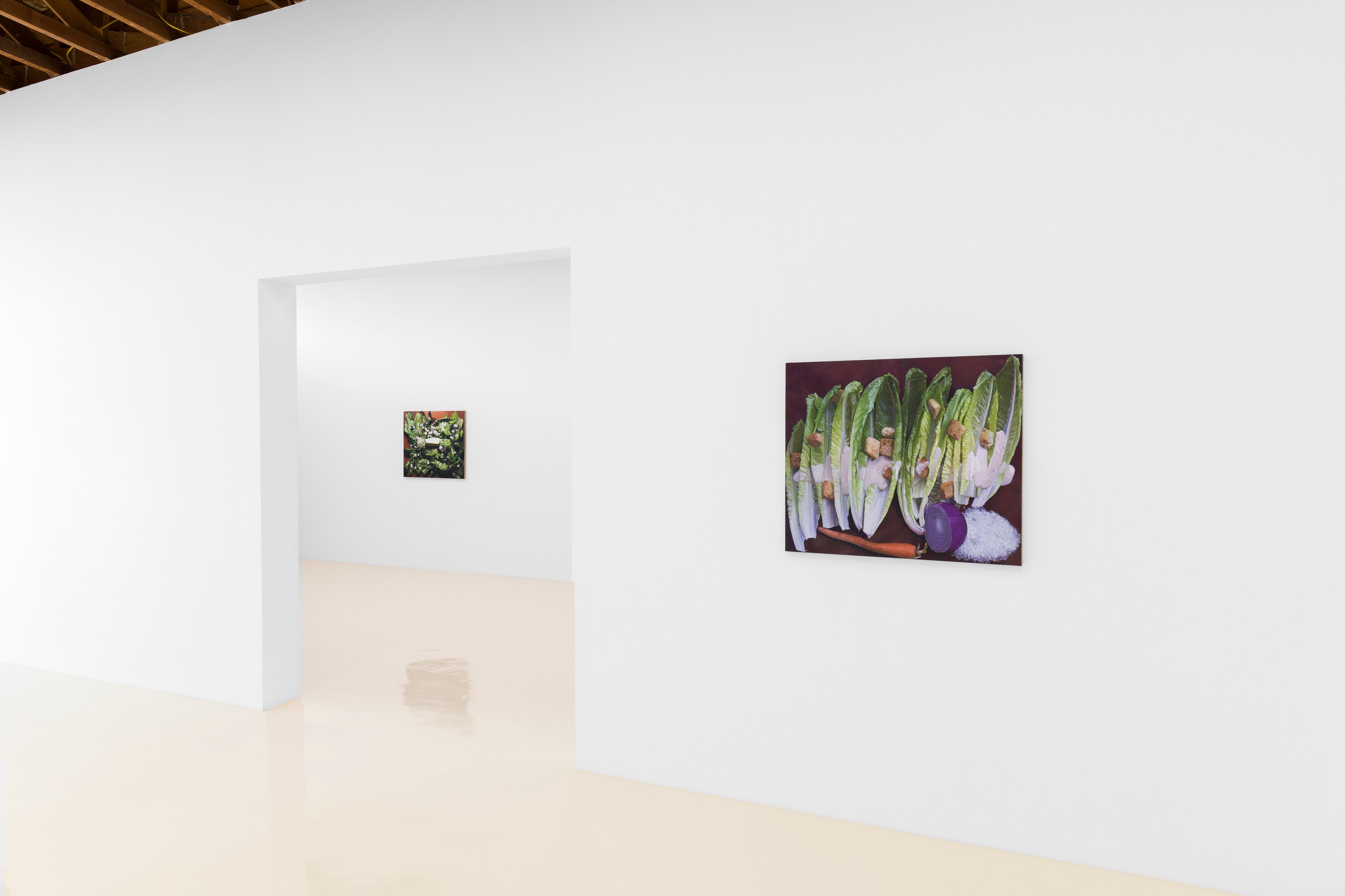 Adam Higgins, My Salad Years at Chris Sharp Gallery, photo 7