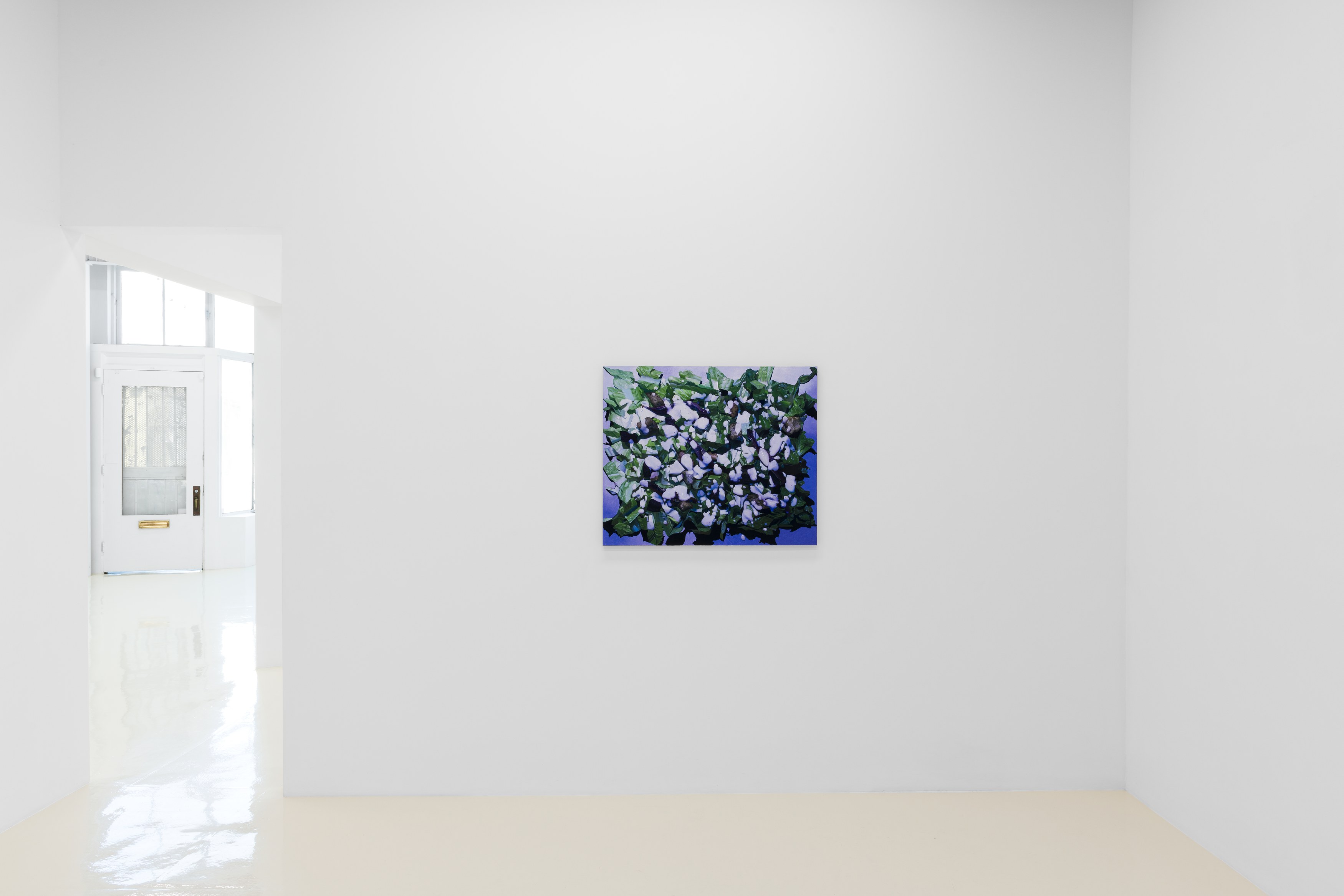 Adam Higgins, My Salad Years at Chris Sharp Gallery, photo 10