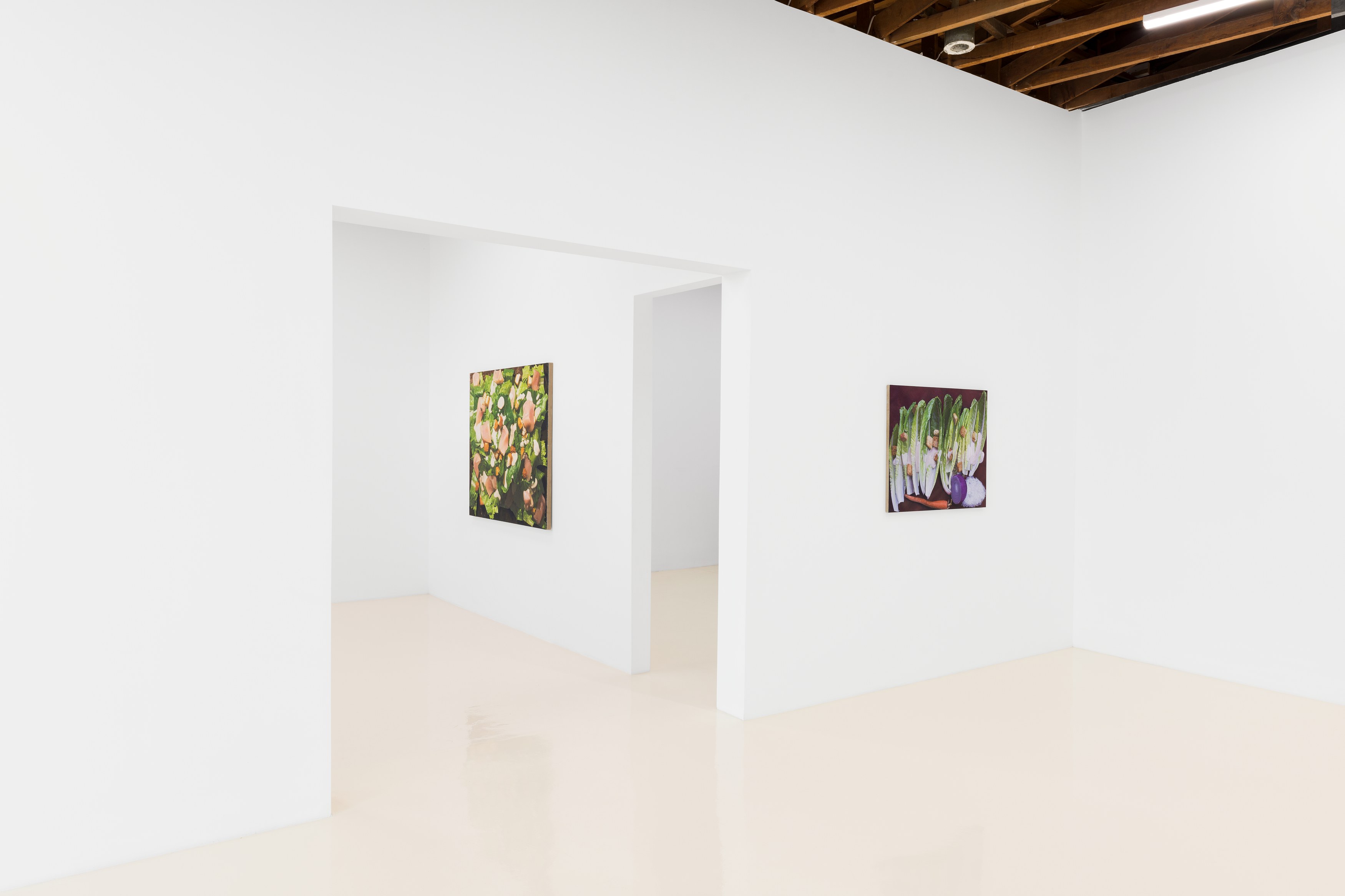Adam Higgins, My Salad Years at Chris Sharp Gallery, photo 9