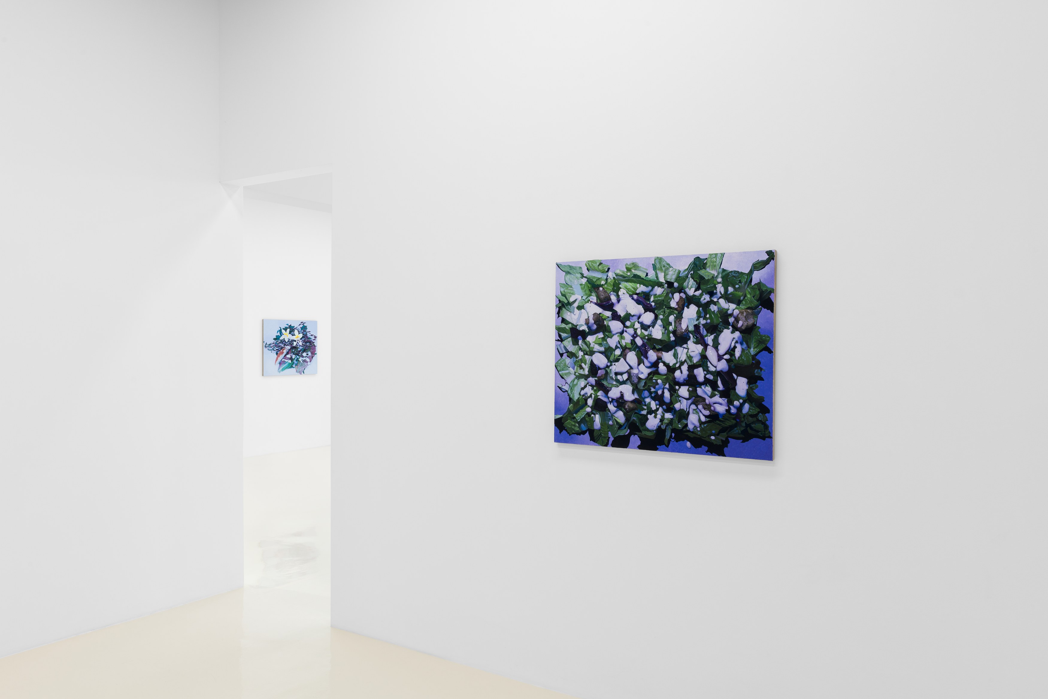 Adam Higgins, My Salad Years at Chris Sharp Gallery, photo 11