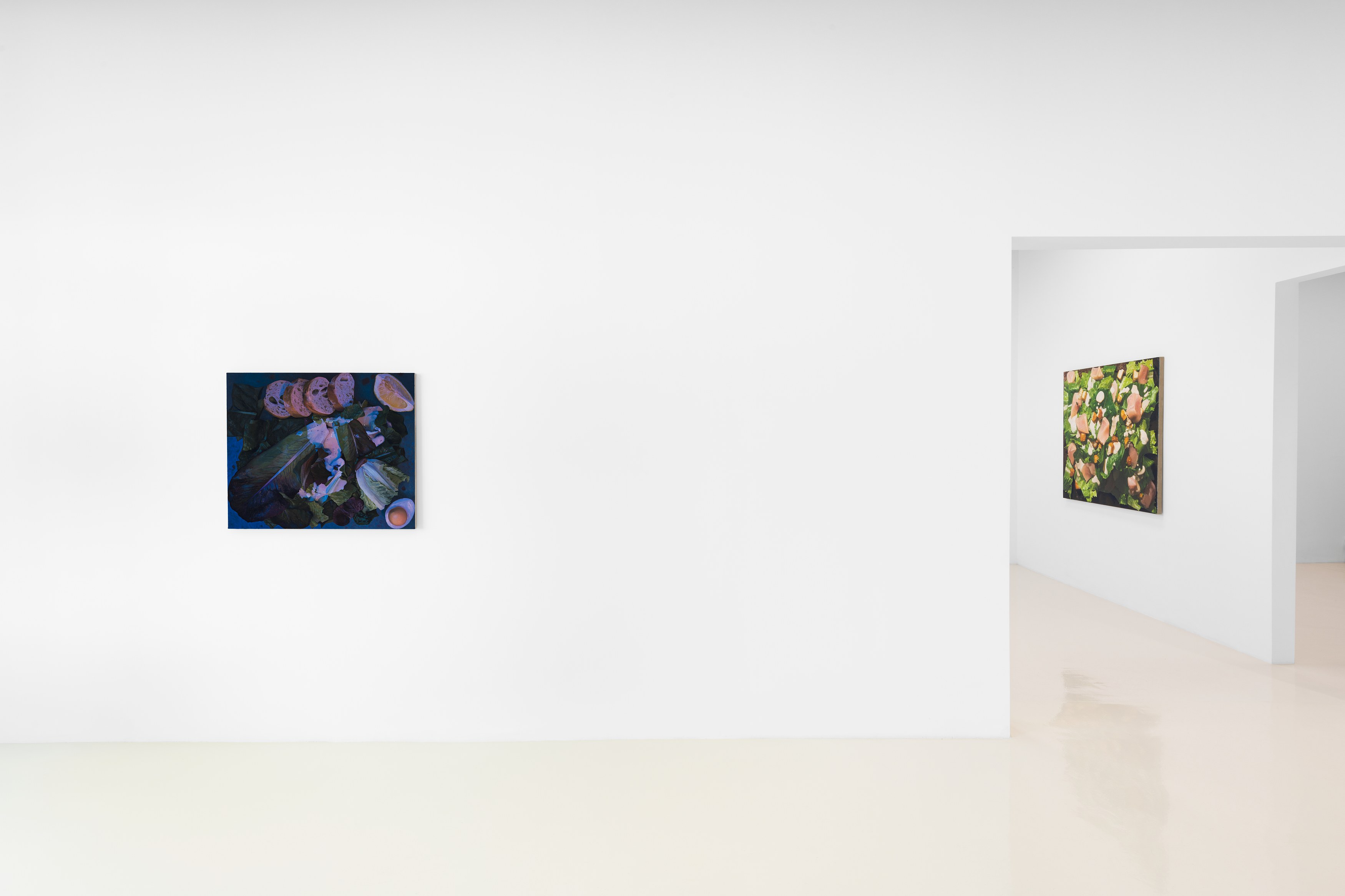 Adam Higgins, My Salad Years at Chris Sharp Gallery, photo 13