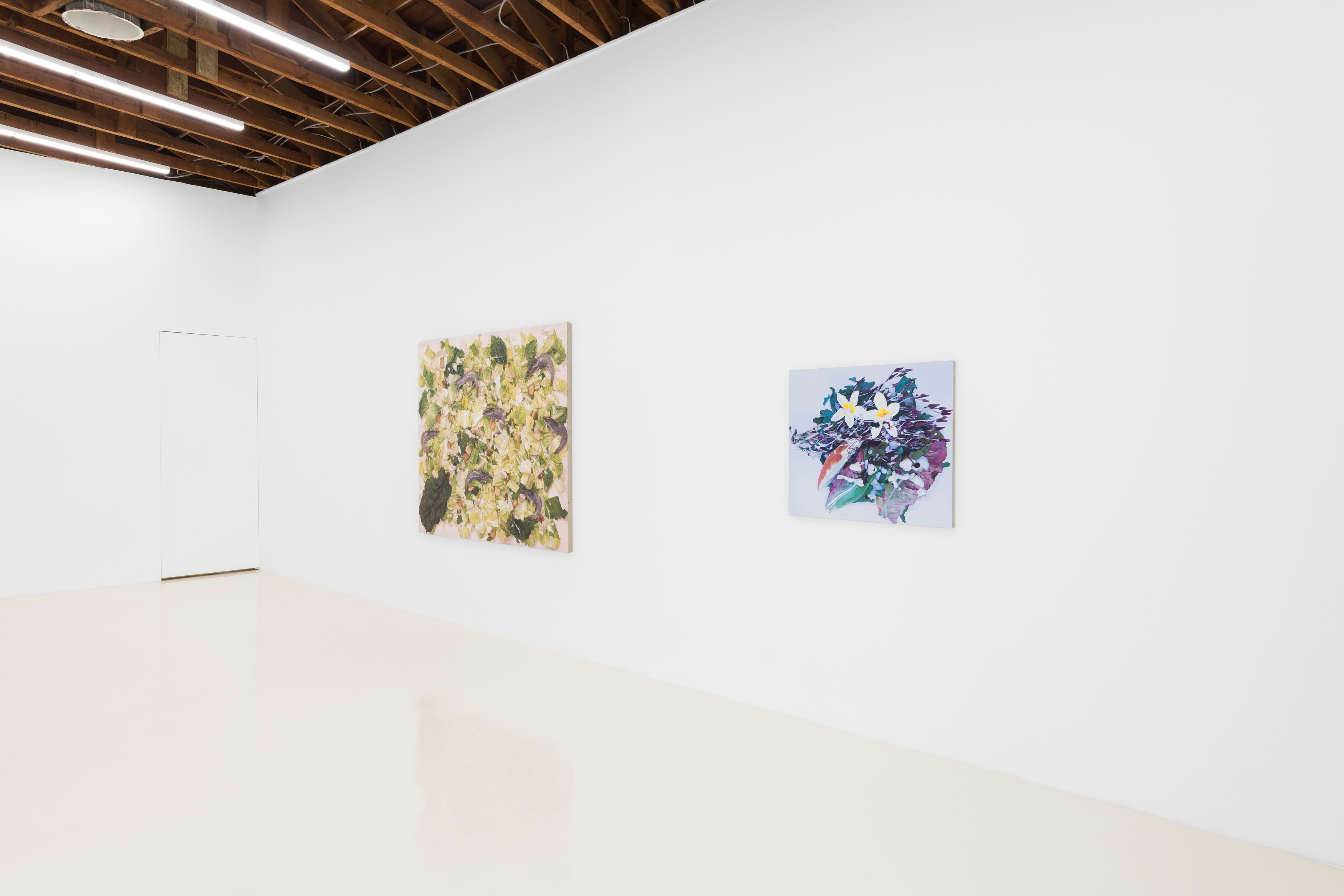 Adam Higgins, My Salad Years at Chris Sharp Gallery, photo 14