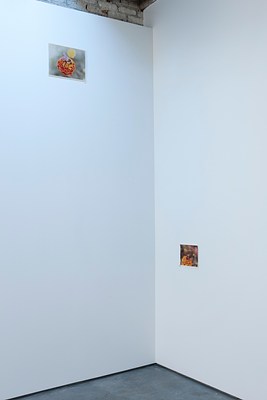 Image 7 of 21