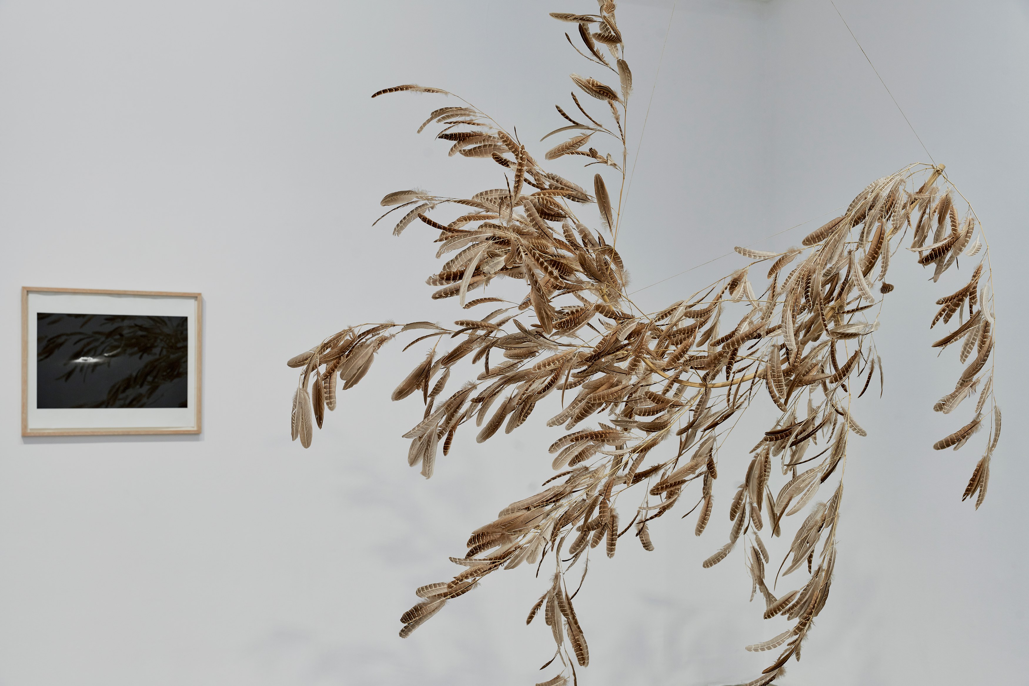 Demain Est La Question, Demain Est La Question at Galerie Chantal Crousel, photo 3