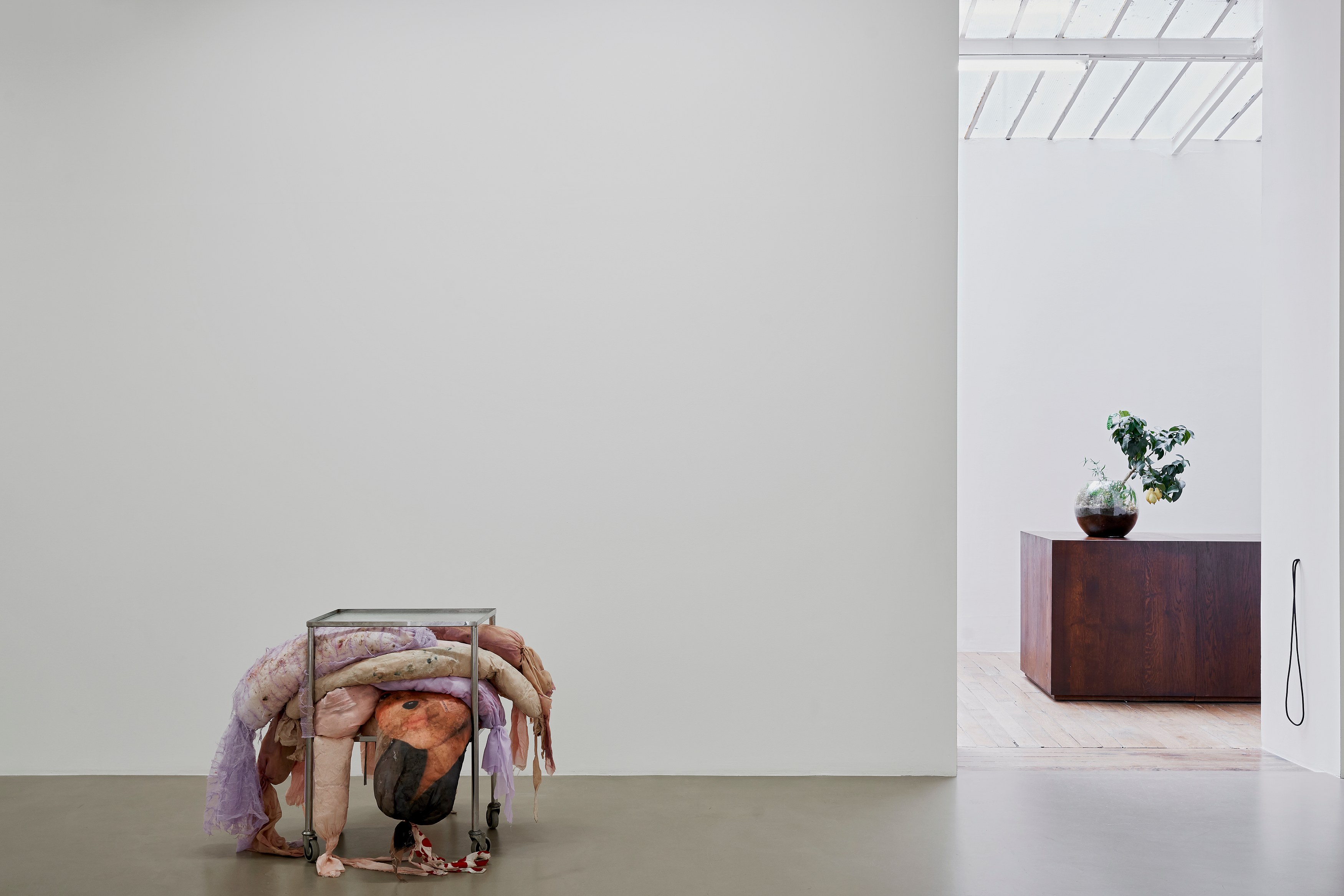 Demain Est La Question, Demain Est La Question at Galerie Chantal Crousel, photo 6