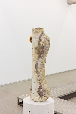 Image 11 of 49