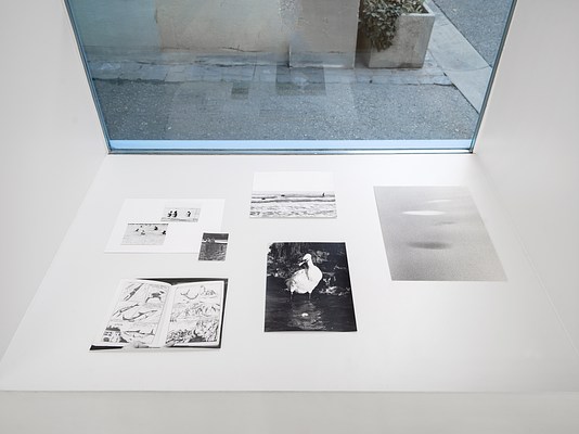Image 19 of 33