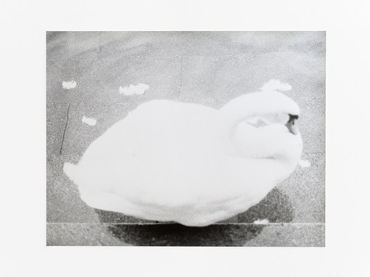 Image 18 of 33