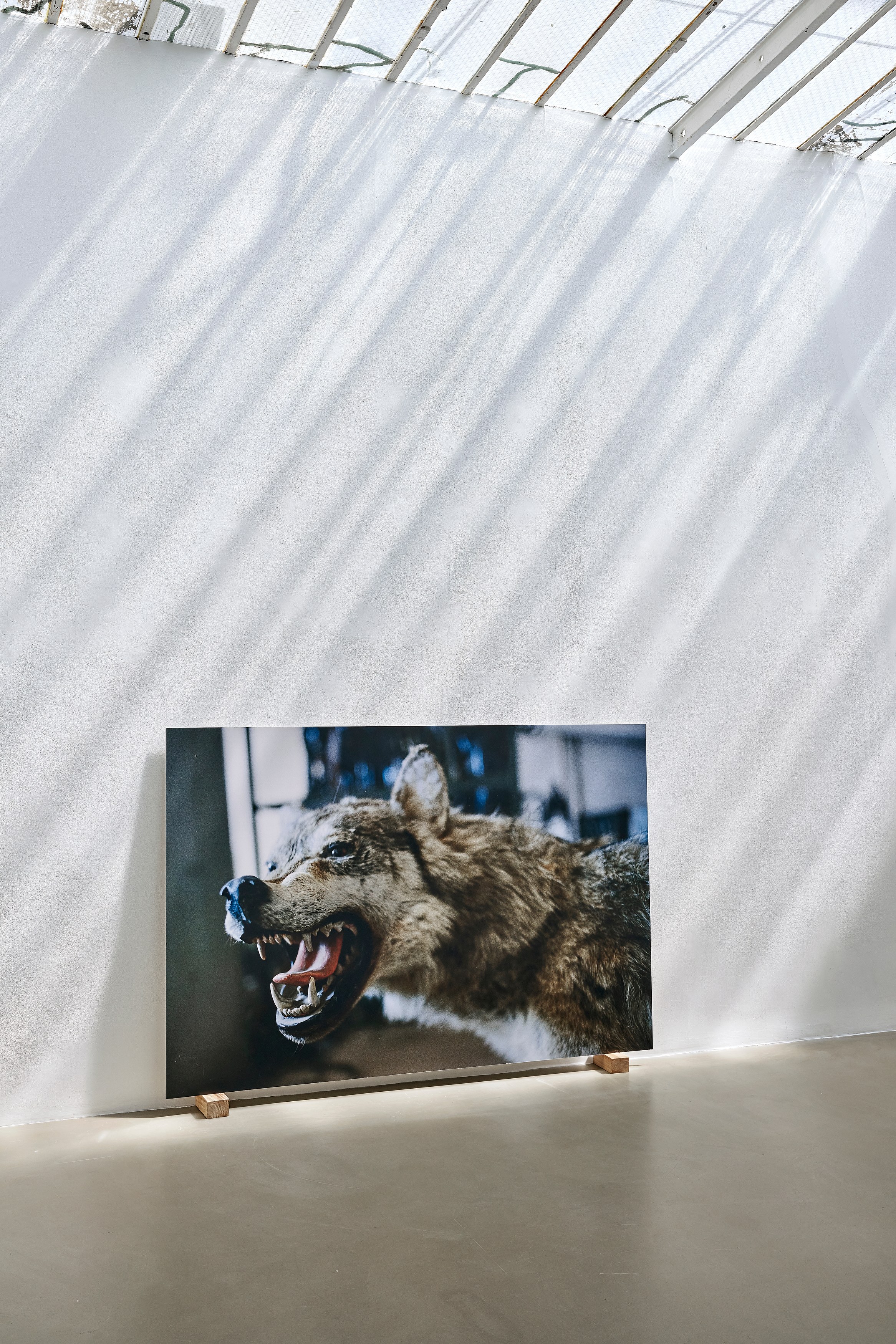 Demain Est La Question, Demain Est La Question at Galerie Chantal Crousel, photo 8