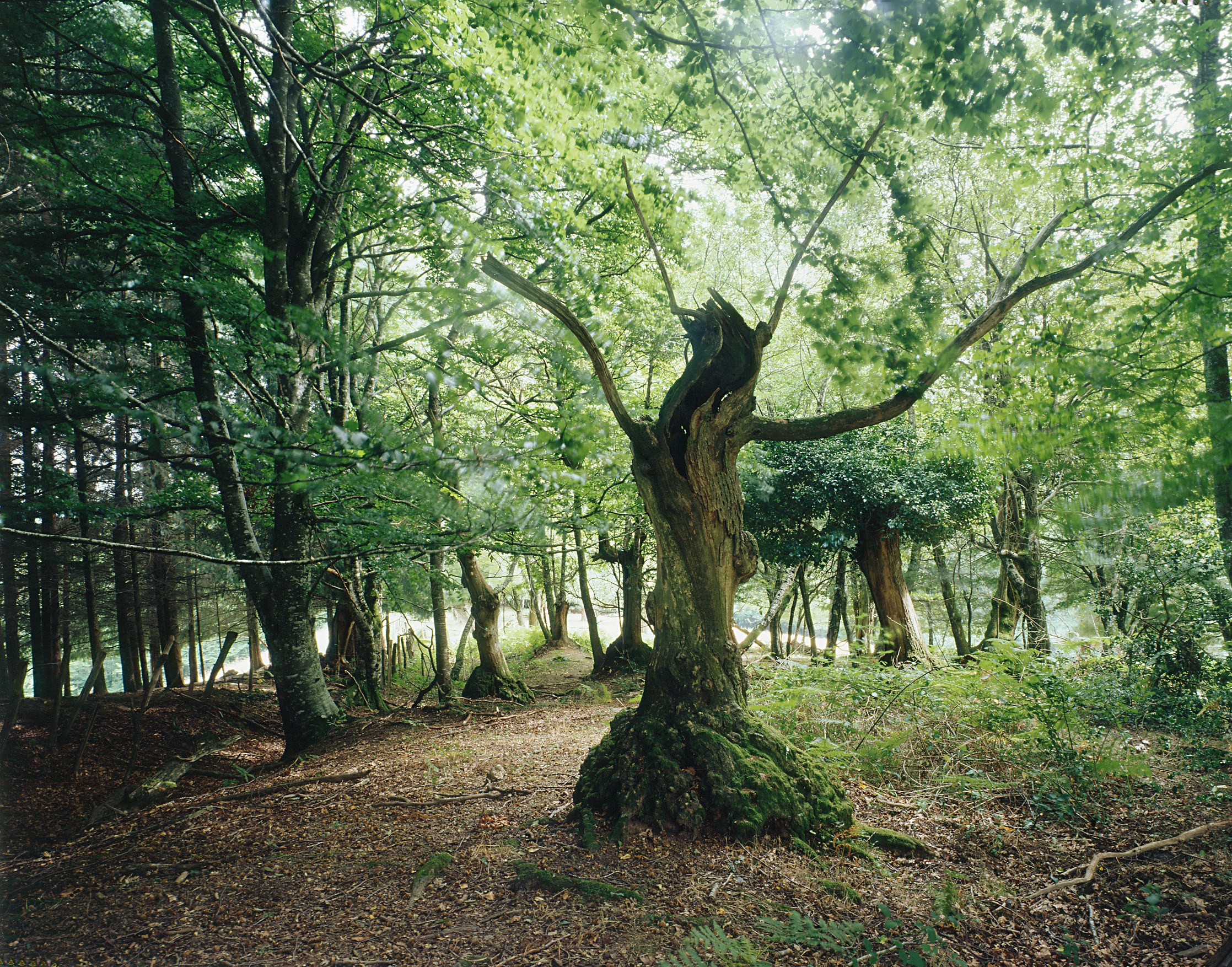 Demain Est La Question, Demain Est La Question at Galerie Chantal Crousel, photo 15
