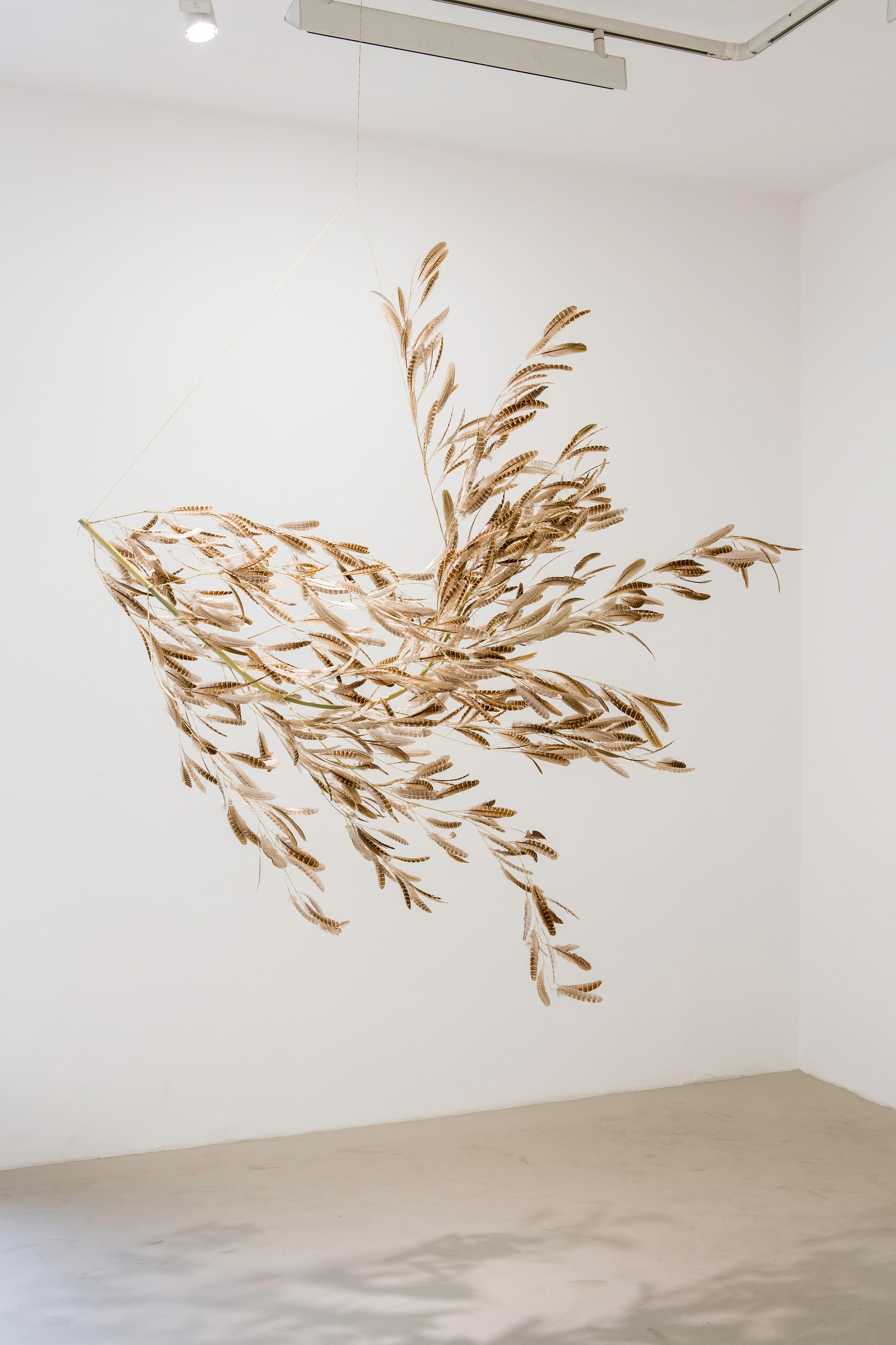 Demain Est La Question, Demain Est La Question at Galerie Chantal Crousel, photo 16