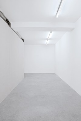 Image 4 of 19