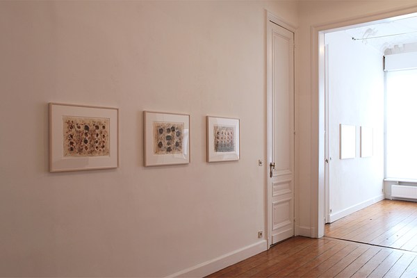 Image 5 of 19