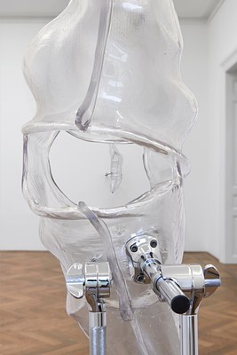 Image 7 of 13