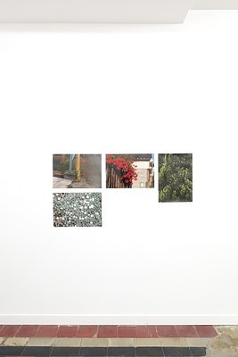 Image 9 of 31