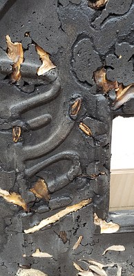 Image 26 of 29