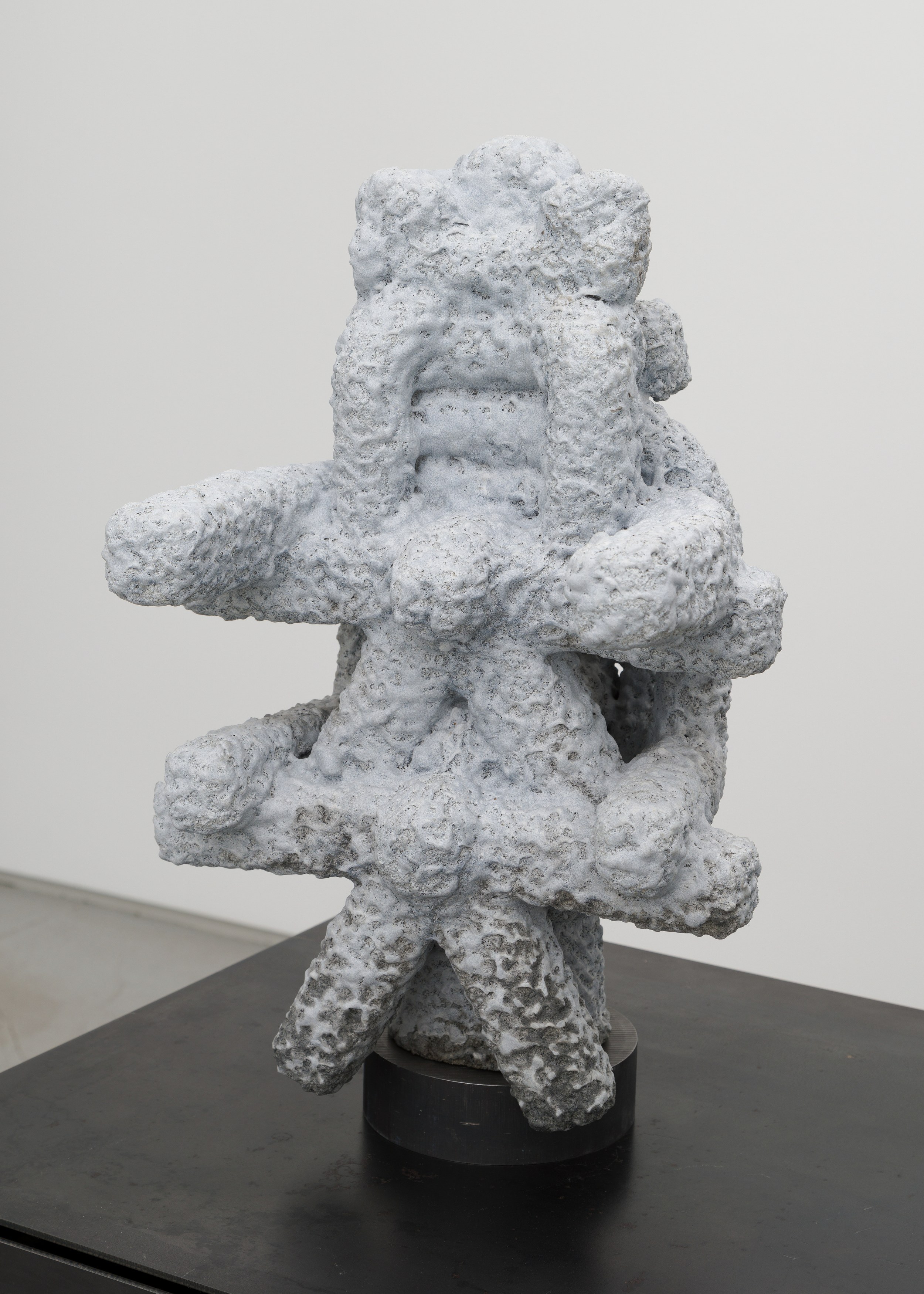 Antonia Kuo, Pauline Shaw, Body Without Organs at Chapter NY, photo 25