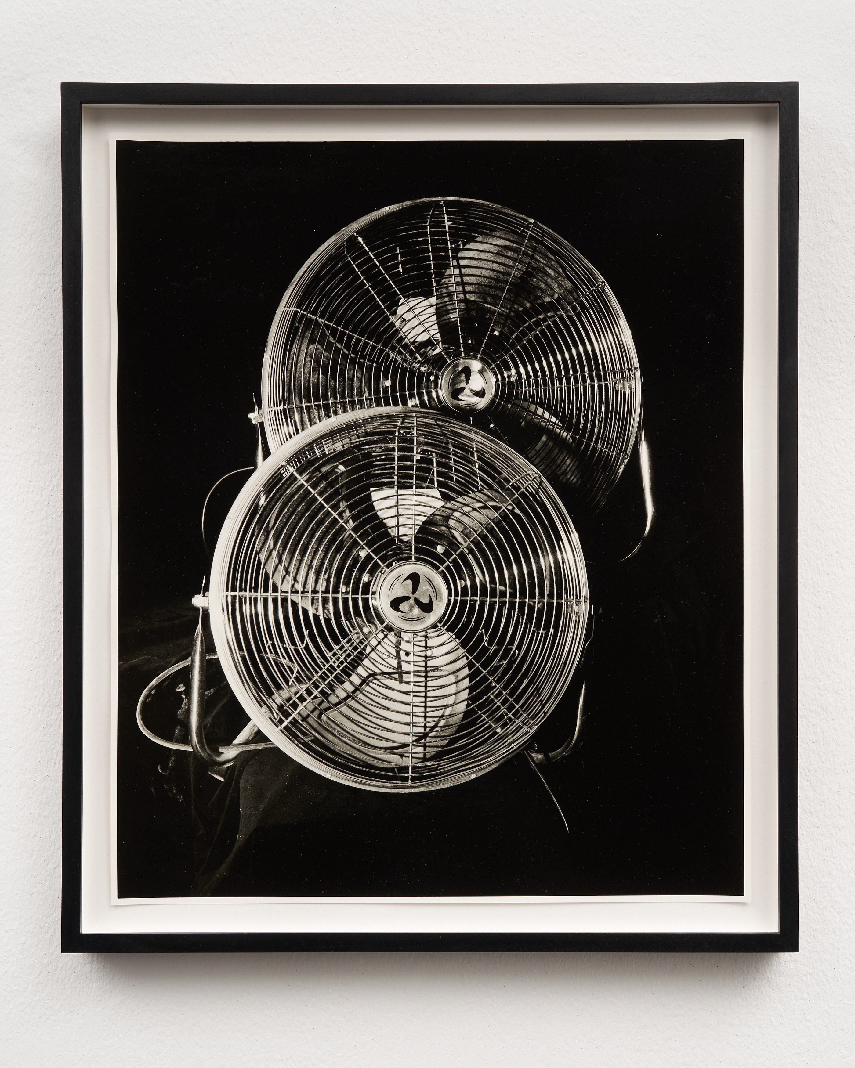 Calla Henkel & Max Pitegoff, Paradise at Isabella Bortolozzi, photo 17