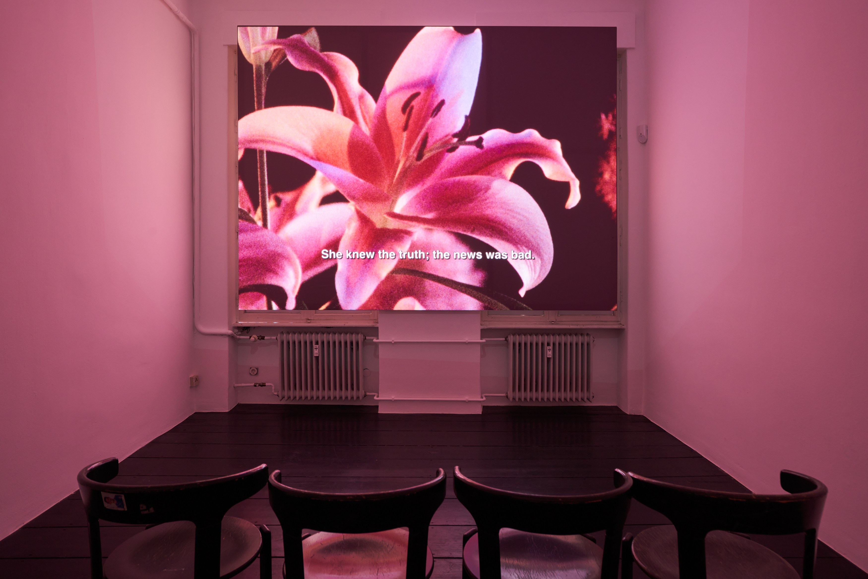 Calla Henkel & Max Pitegoff, Paradise at Isabella Bortolozzi, photo 39