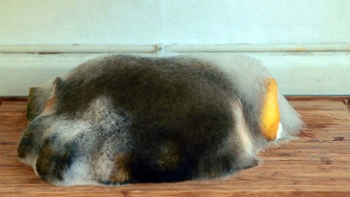 Image 45 of 52