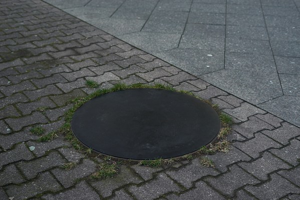 Image 3 of 11