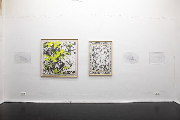 Image 2 of 20