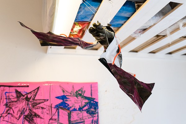Image 7 of 8