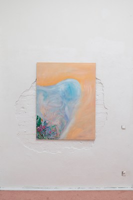 Image 5 of 12