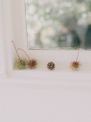Image 13 of 26