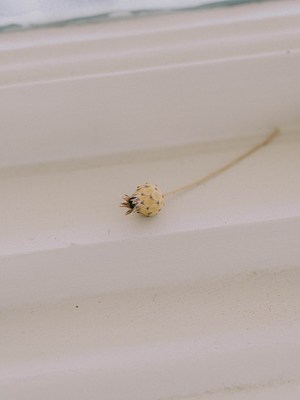 Image 17 of 26
