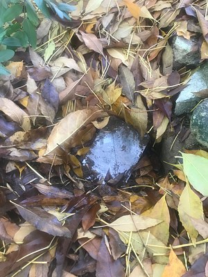 Image 25 of 26