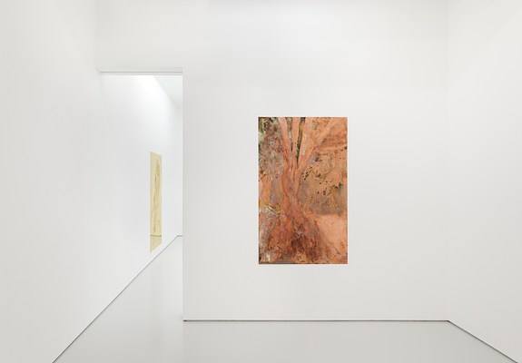 Image 11 of 31