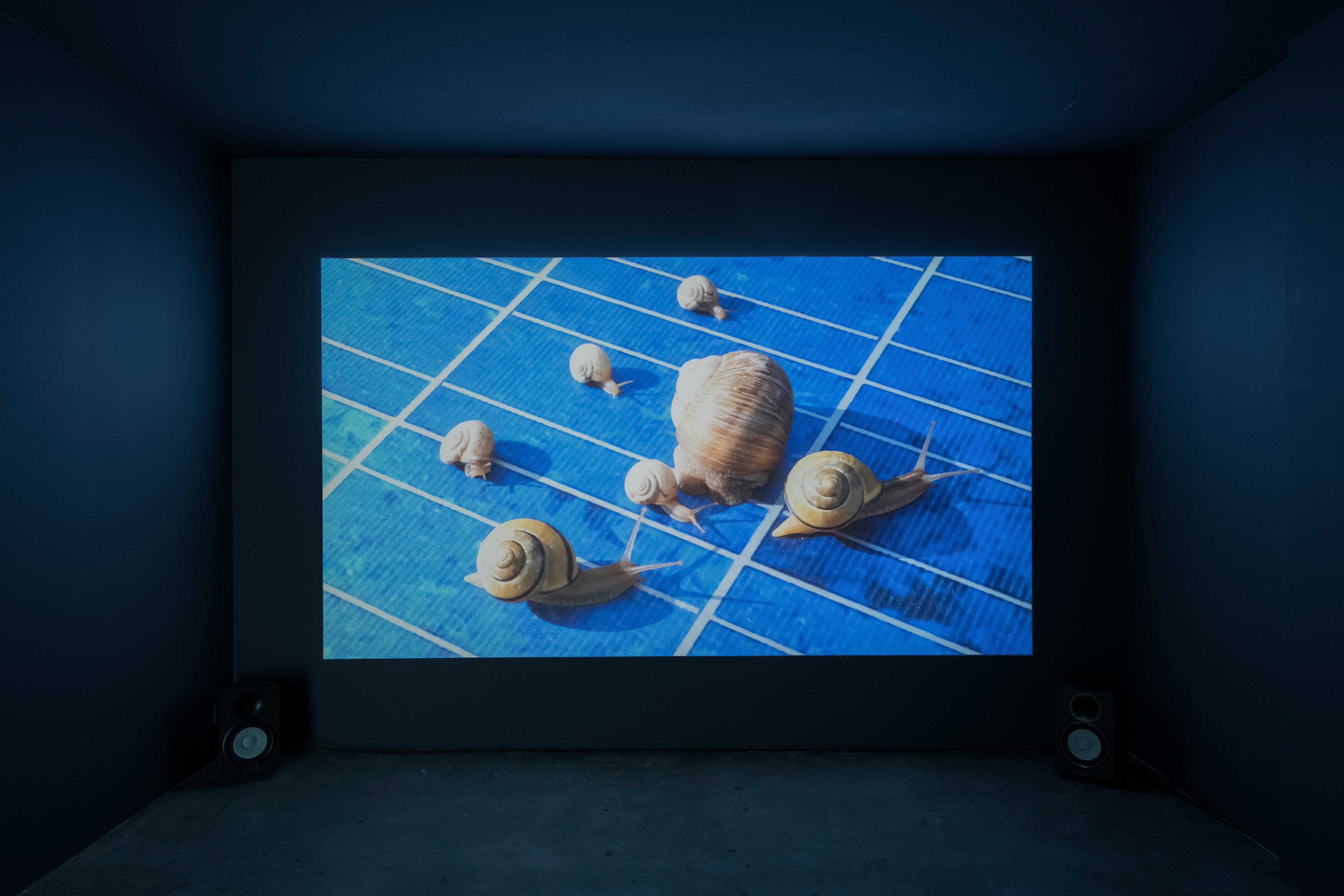 Judith Hopf, image 81 of 85