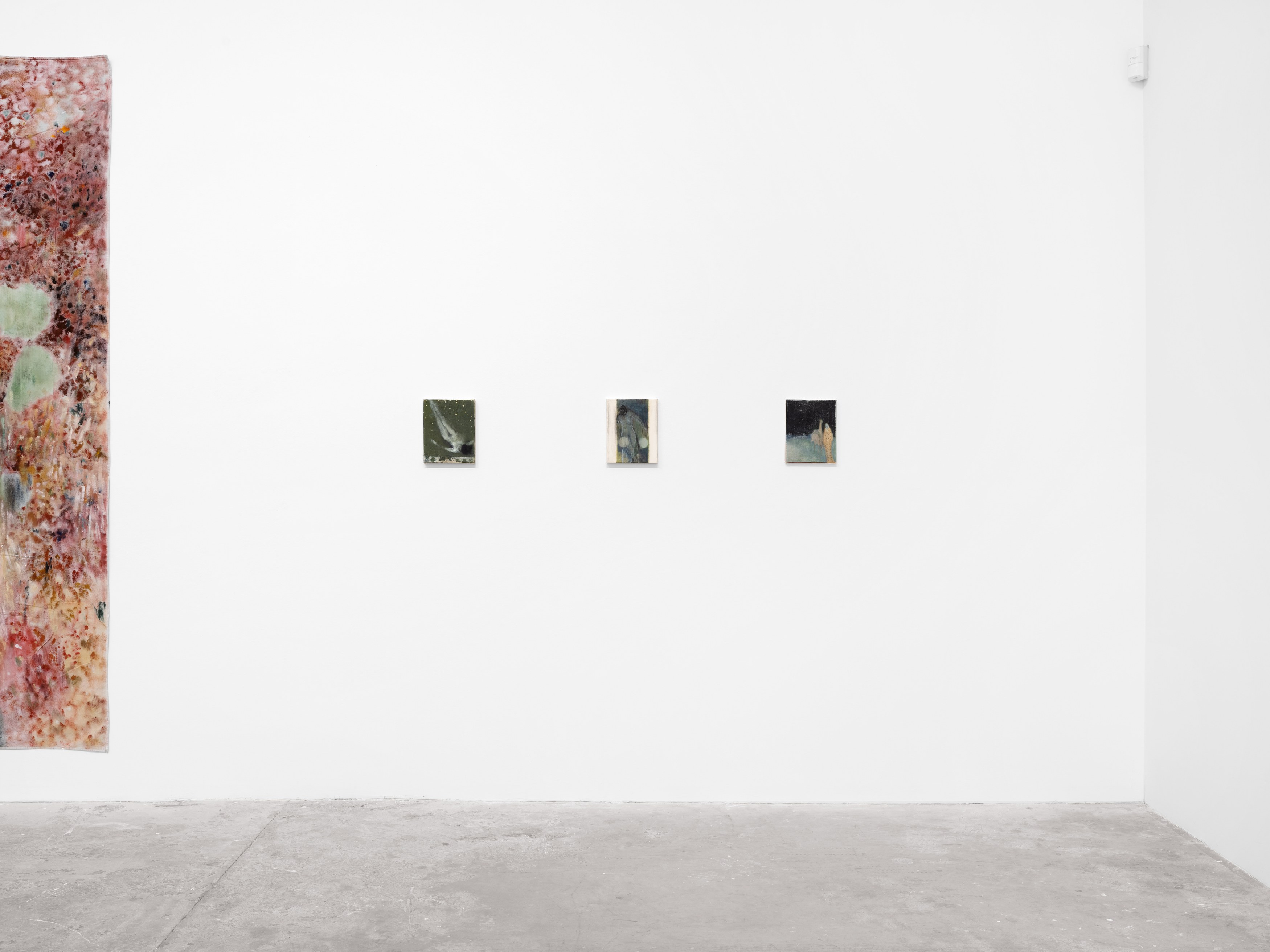 Ted Gahl, Le Goon at Harkawik, photo 11