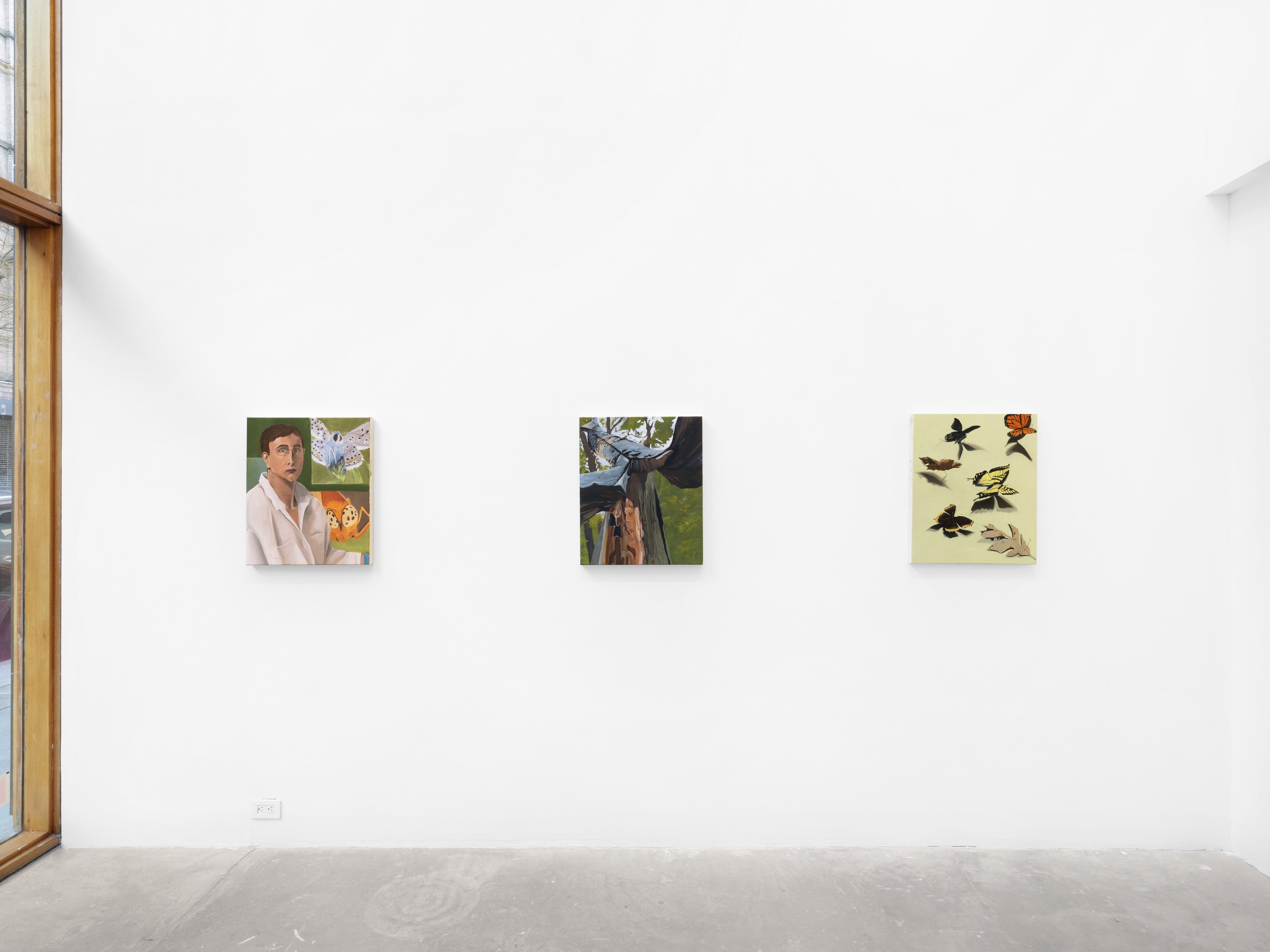 Eli Hill, Some Days I Taste the World at Harkawik, photo 4