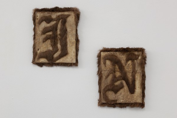 Image 7 of 29