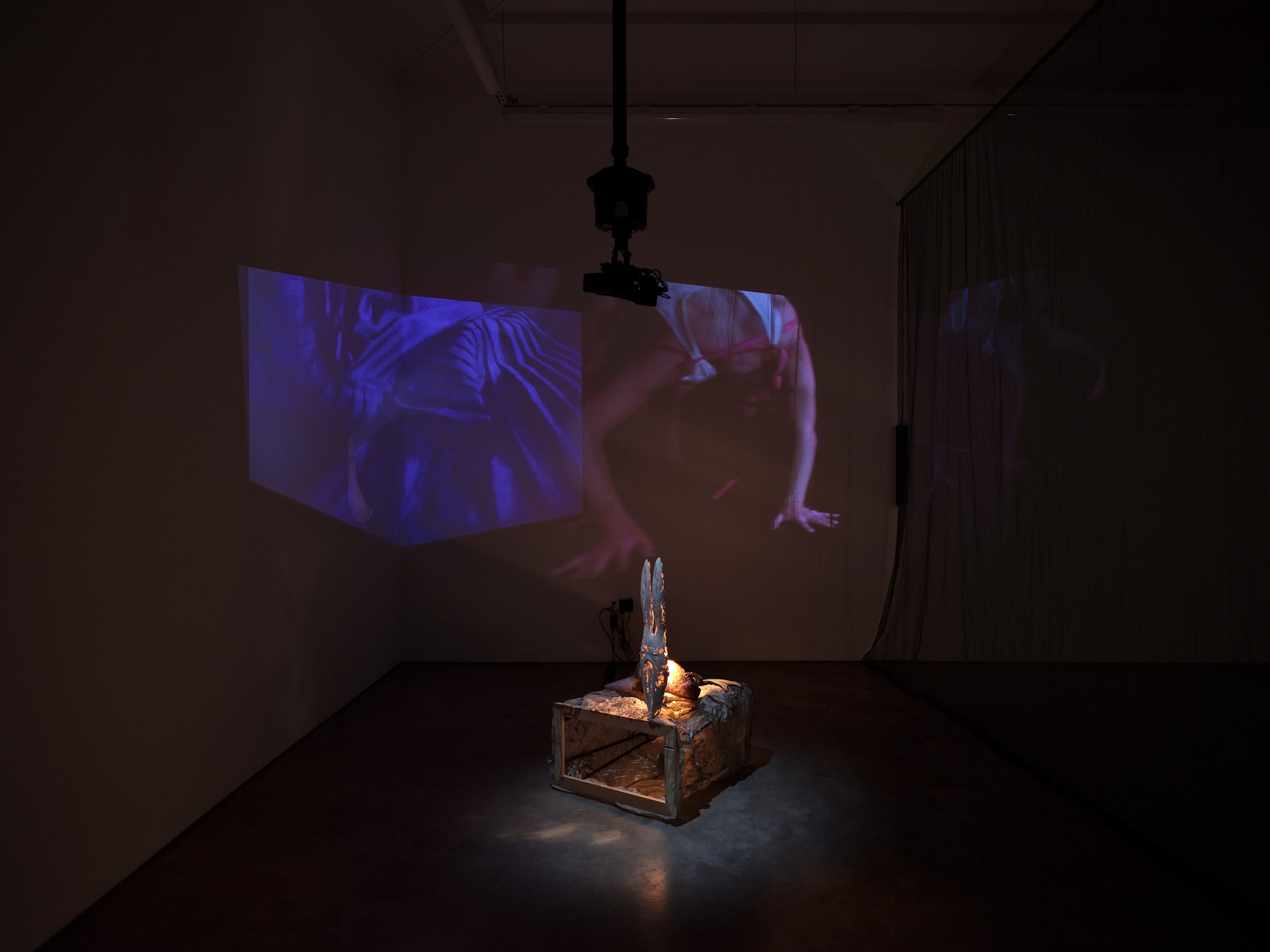 Catalina Ouyang, forgive everything at Night Gallery, photo 2