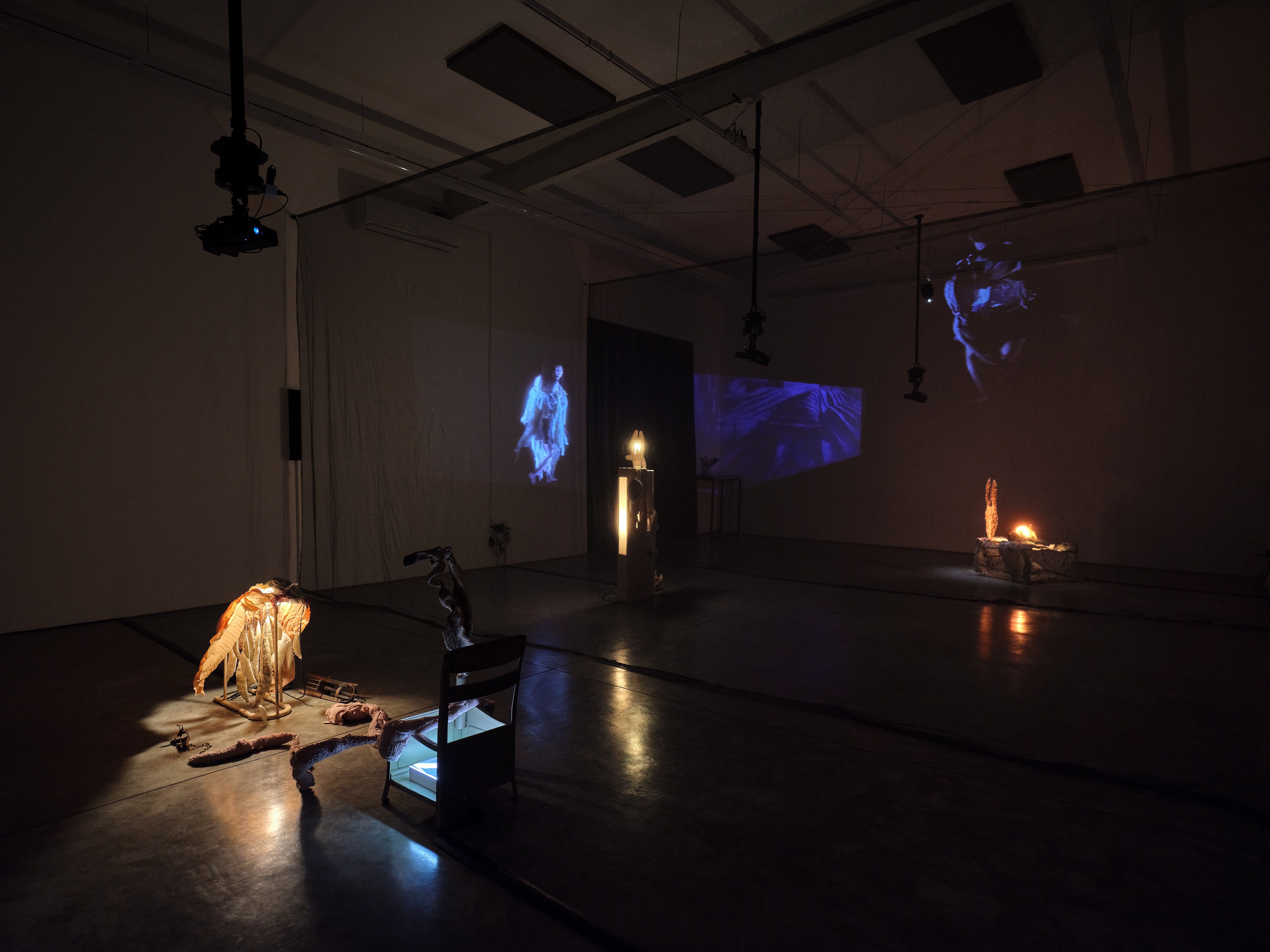 Catalina Ouyang, forgive everything at Night Gallery, photo 4