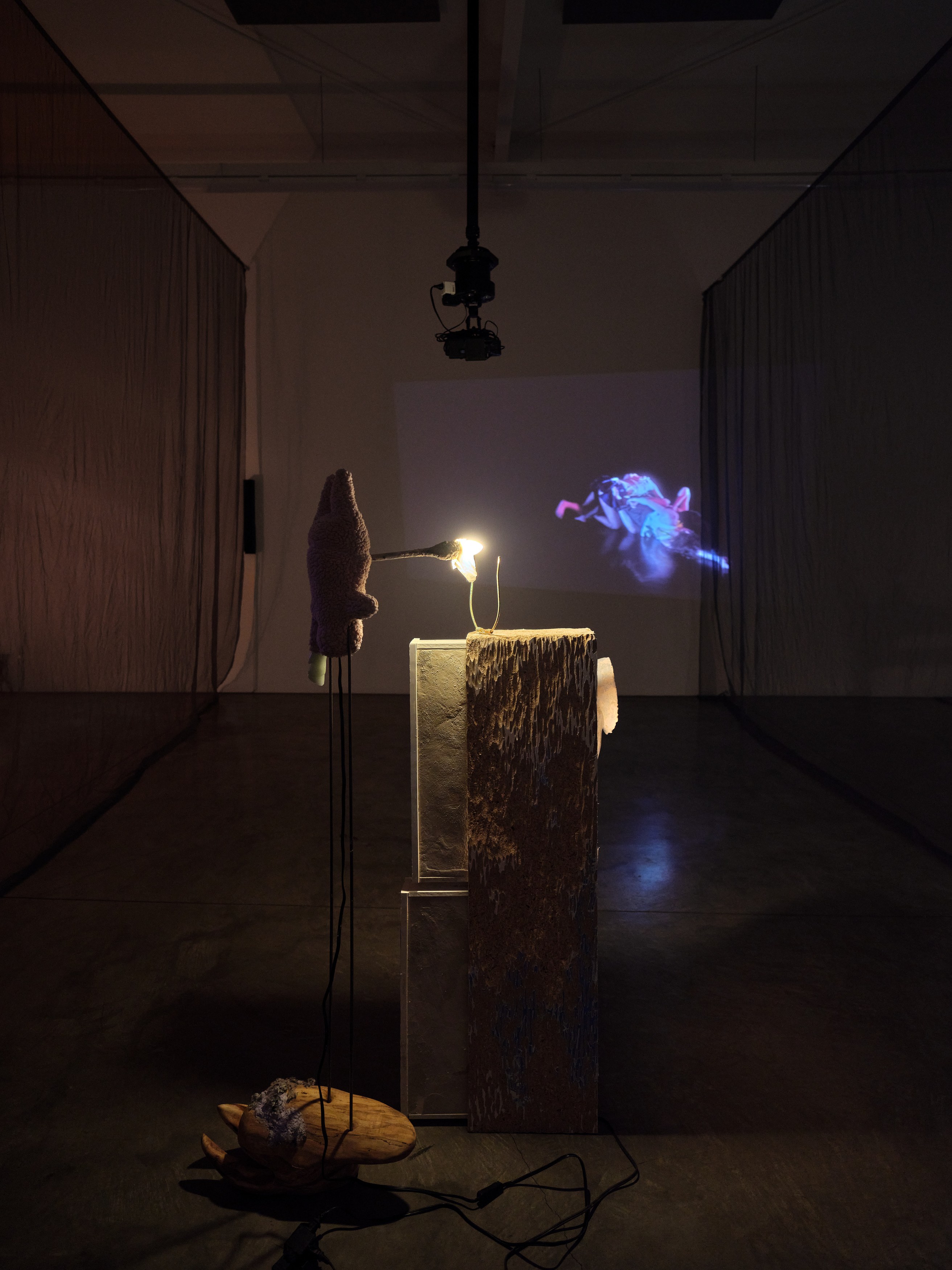 Catalina Ouyang, forgive everything at Night Gallery, photo 14