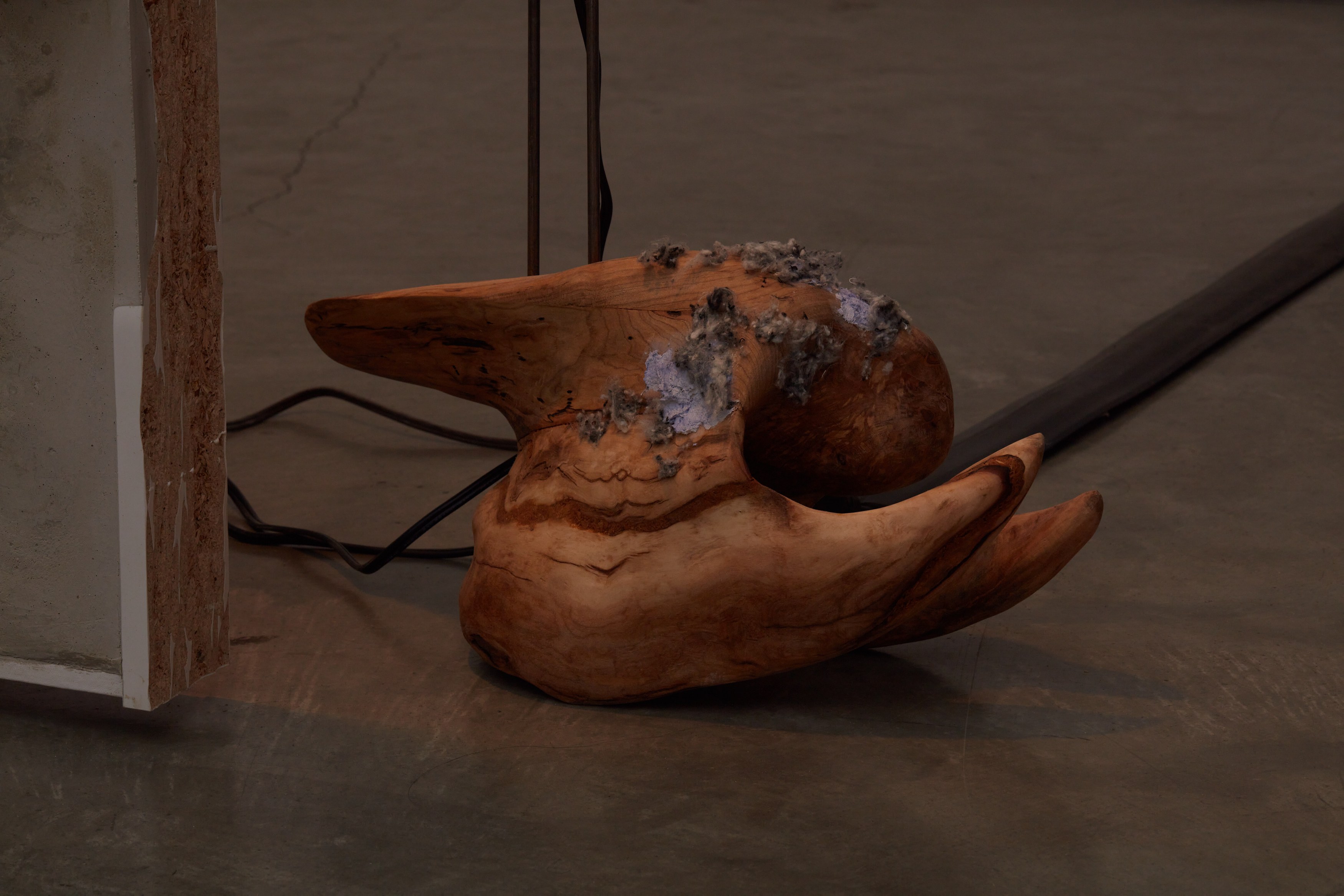 Catalina Ouyang, forgive everything at Night Gallery, photo 20