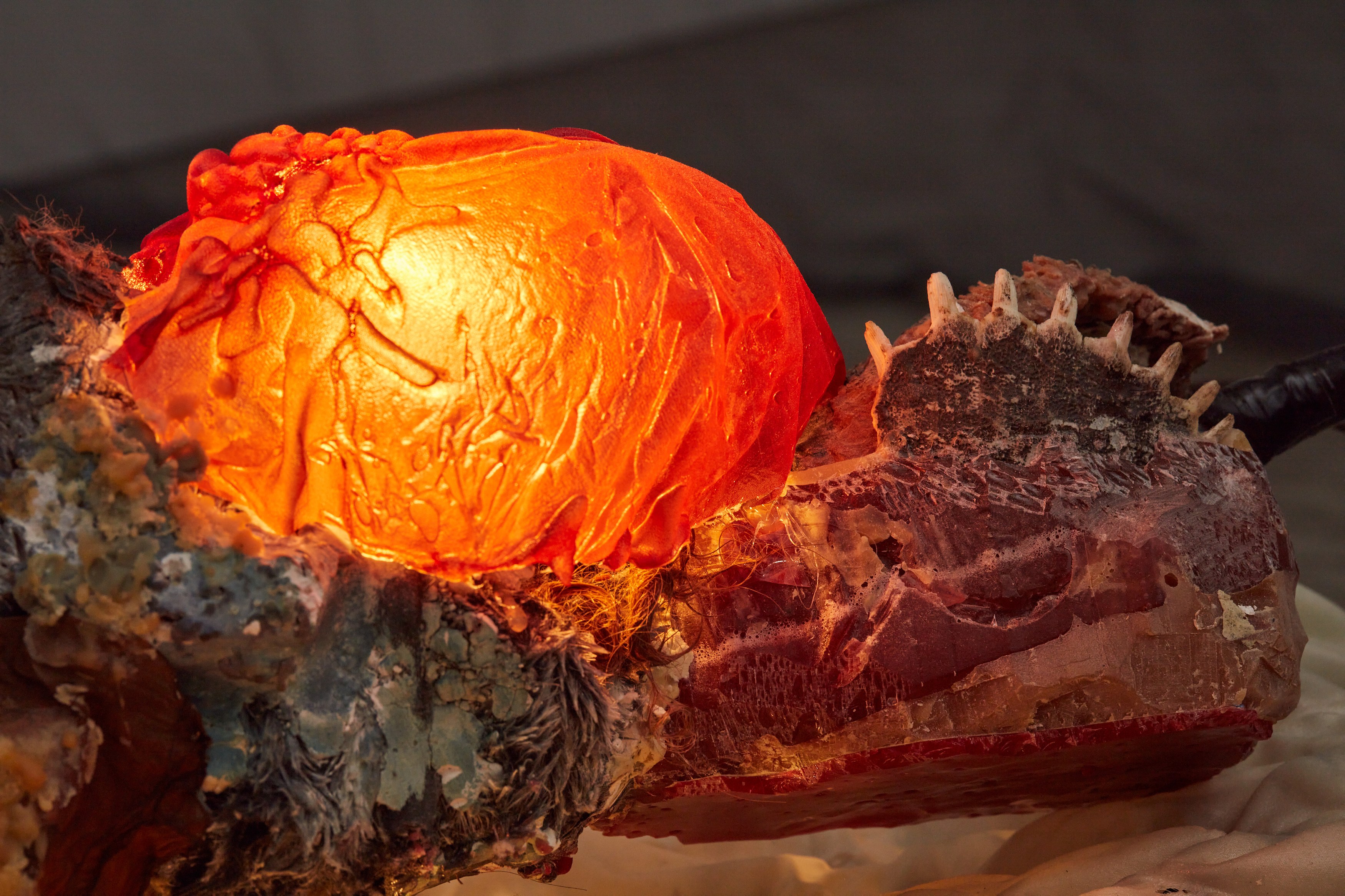 Catalina Ouyang, forgive everything at Night Gallery, photo 32