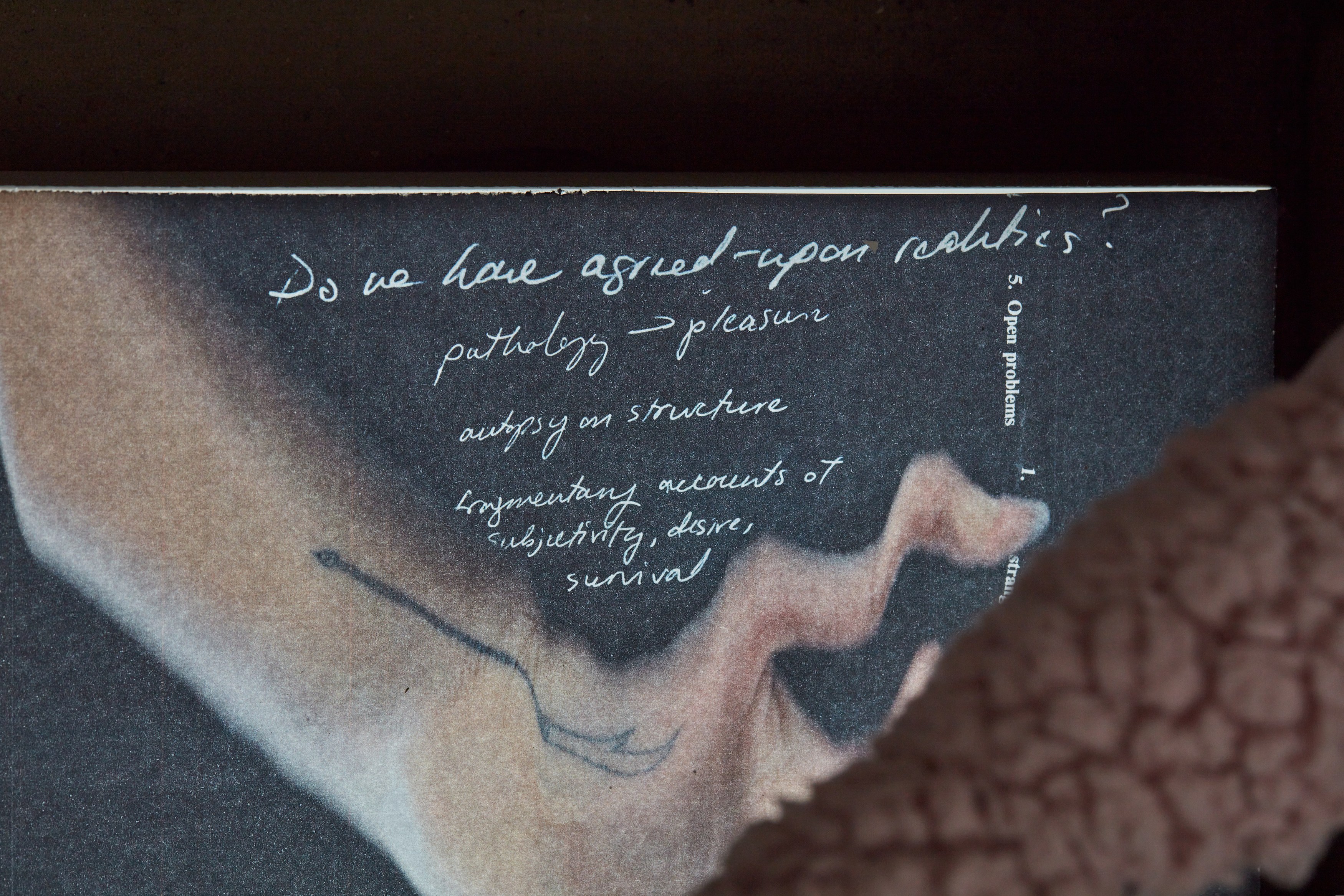 Catalina Ouyang, forgive everything at Night Gallery, photo 41