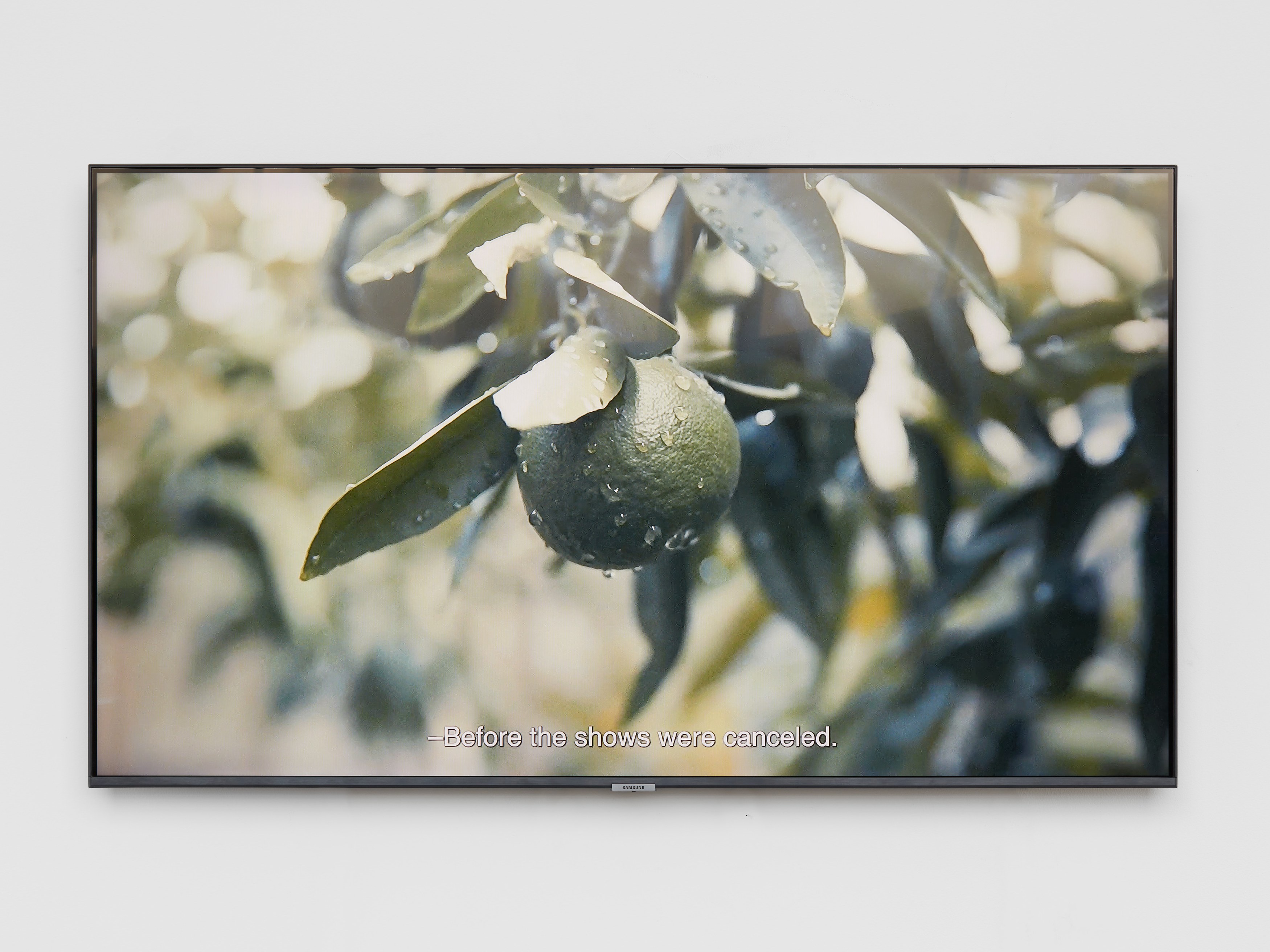 Catalina Ouyang, forgive everything at Night Gallery, photo 55