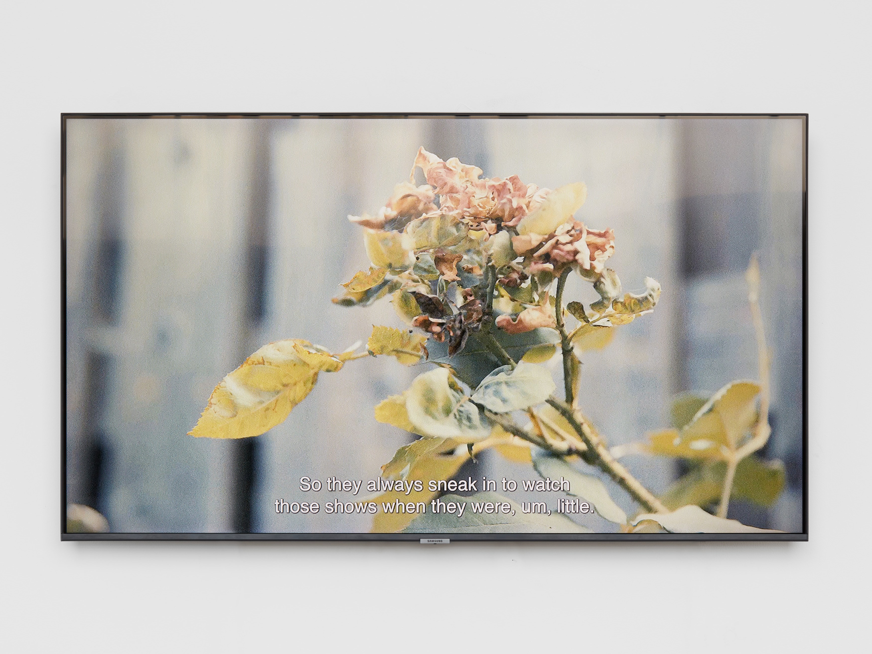Catalina Ouyang, forgive everything at Night Gallery, photo 54