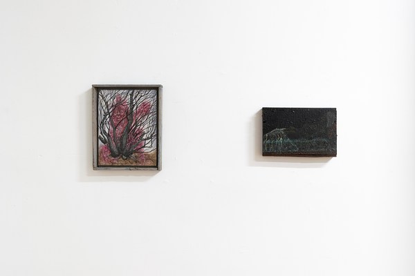 Image 8 of 20
