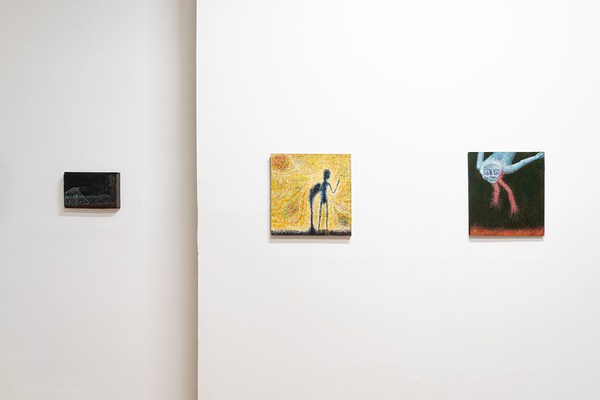 Image 7 of 20