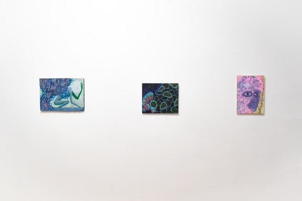Image 11 of 20