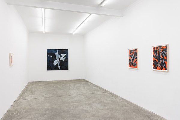 Image 1 of 13