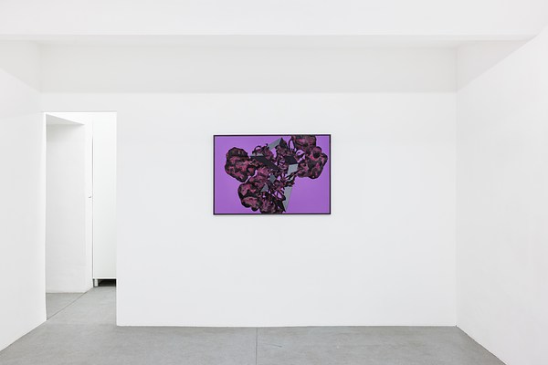 Image 7 of 13