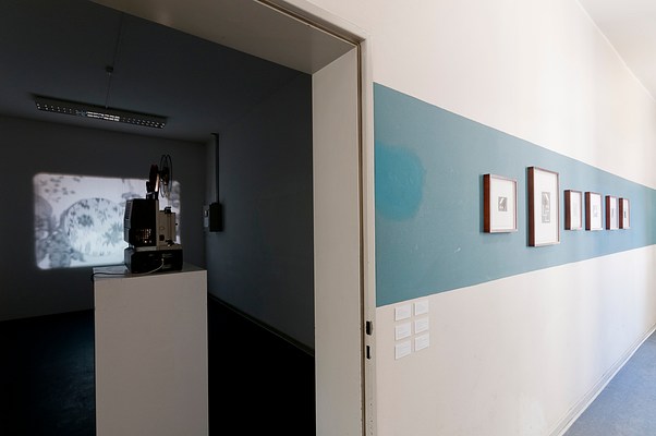 Image 5 of 30